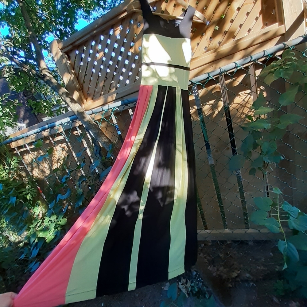 🌈NWOT French Connection Maxi Dress XS